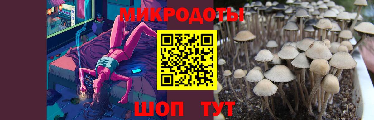 Анжеро-Судженск  Галлюциногенные грибы Psilocybe  где купить наркоту  Вход с VPN 